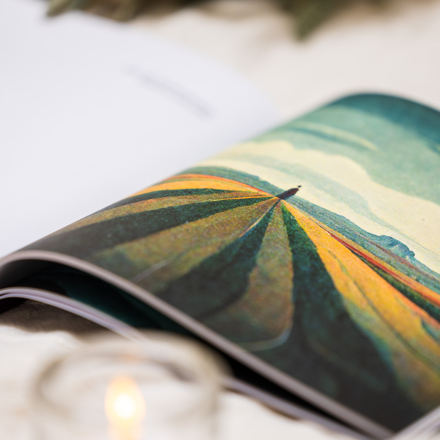 Aum Golly 2 series illustration